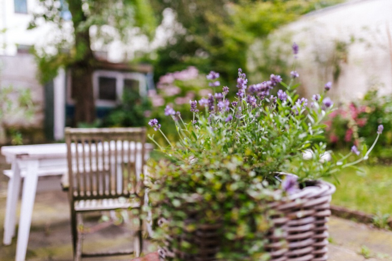 Garten Osteopathie in Ottensen